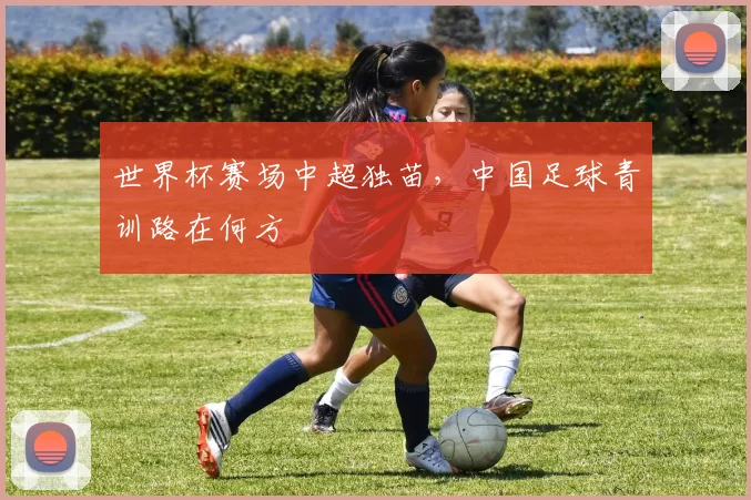 世界杯赛场中超独苗,中国足球青训路在何方