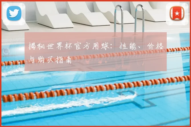 揭秘世界杯官方用球：性能、价格与购买指南