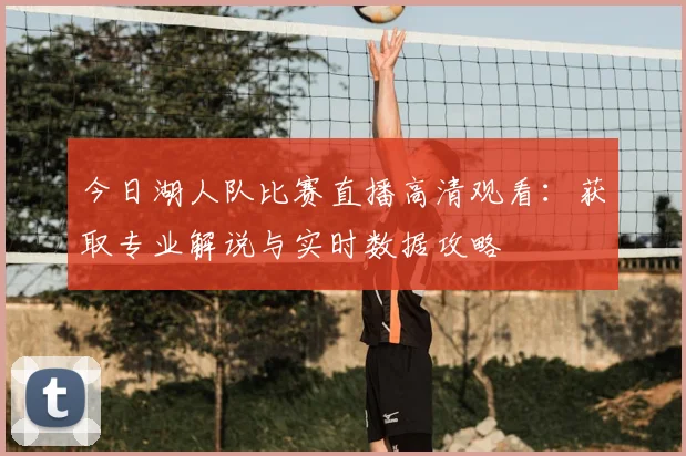 今日湖人队比赛直播高清观看：获取专业解说与实时数据攻略