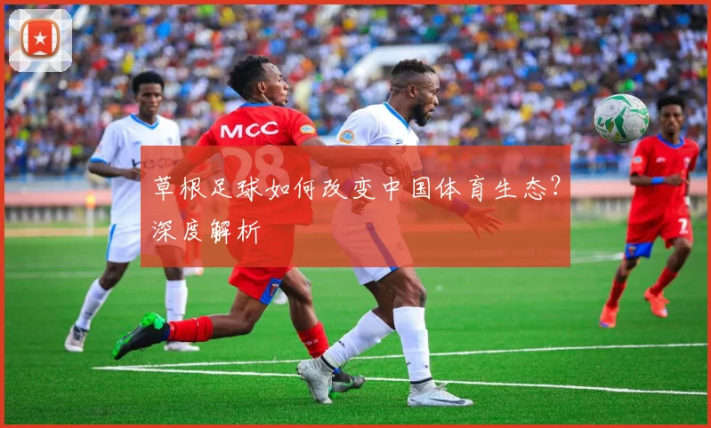 草根足球如何改变中国体育生态?深度解析