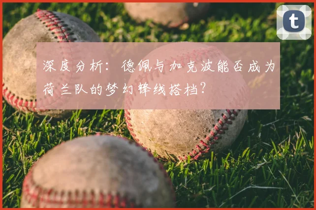深度分析:德佩与加克波能否成为荷兰队的梦幻锋线搭档?