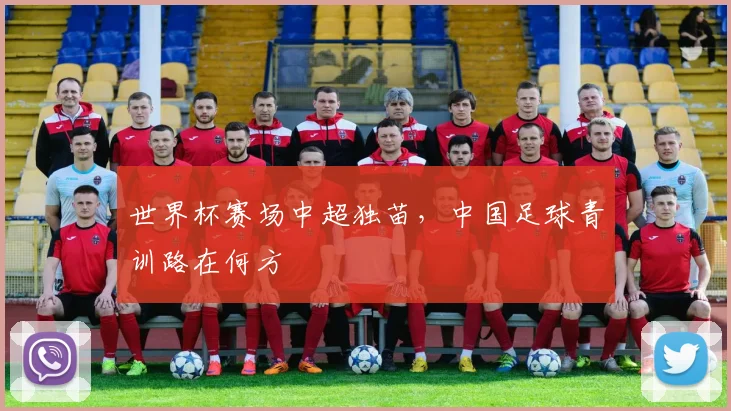 世界杯赛场中超独苗，中国足球青训路在何方